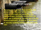 Pollution water. The seas are in danger. They are filled with poison: industrial and nuclear waste, chemical fertilisers and pesticides. The Mediterranean is already nearly dead; the North Sea is following. The Aral Sea is on the brink of extinction. If nothing is done about it, one day nothing will