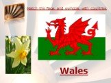 Match the flags and symbols with countries. Wales