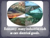 Economy: many industries such as cars electrical goods.