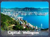 Capital: Wellington
