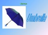 Зонтик Umbrella