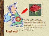 The Tudor rose is the national floral emblem of England. It symbolizes the end of the Wars of the Roses.