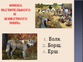 ИМЕНА РАСТИТЕЛЬНОГО И ЖИВОТНОГО МИРА: 1. Волк. 2. Борщ. 3. Ерш.