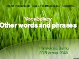 Halmetova Barno SDR group 204A. South Kazakhstan State Pharmaceutical Academy. Vocabulary Other words and phrases