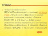 Пример. Человек воспринимает (ПОЛУЧАЕТ)информацию с помощью органов чувств .Полученная информация в форме зрительных, слуховых и других образов ХРАНИТСЯ в его памяти.Человеческое мышление можно воспринимать как процесс обработки информации. В процессе общения человек ПЕРЕДАЕТ и принимает информацию