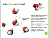 Молекула воды H. атом водорода можно рассматривать как систему, так как он состоит из положительно заряженного протона и отрицательно заряженного электрона. Вместе с тем, атом водорода входит в молекулу воды, т. е. является элементом системы более высокого водорода и молекула структурного уровня