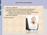 Циклический алгоритм