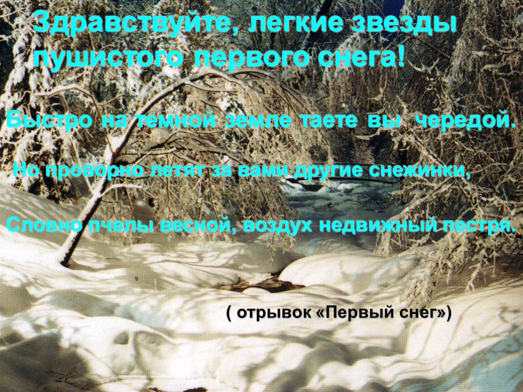 Легкие звезды пушистого первого снега. Здравствуйте легкие звезды пушистого первого снега. Здравствуйте, лёгкие звёзды пушистого первого снега! И. Тургенев. Здравствуйте легкие звезды пушистого первого.