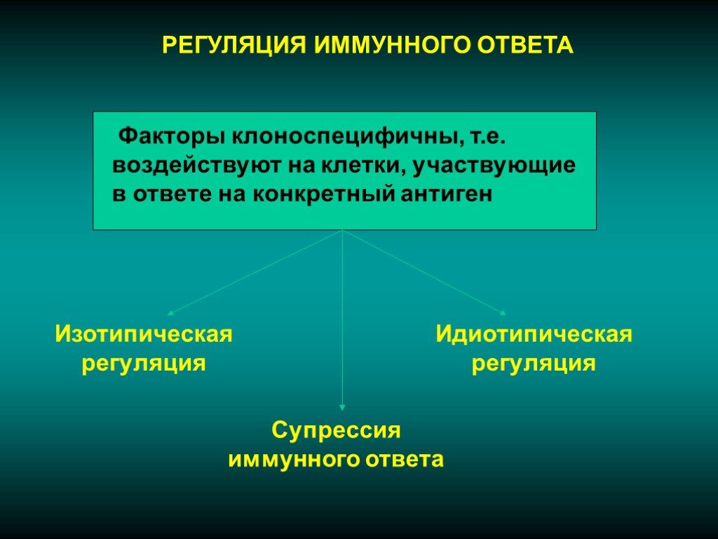 Регуляция иммунных процессов. Регуляция иммунитета. Регуляция иммунного ответа. Регуляция иммунных реакций. Механизмы регуляции иммунного ответа.