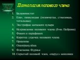 Патология полового члена. Баланопостит Епи-, гипосподия (головчатая, стволовая, тотальная) Экстрофия мочевого пузыря Искривление полового члена (б-нь Пейрони) Фимоз и парафимоз Коротка уздечка полового члена Приапизм Олеогранулёма Флегмона Фурнье Скрытый половой член, «парус» мошонки