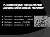 Классическими возбудителями анаэробной инфекции являются: Clostridium perfringens (44-50%) Clostridium oedomatiens (15-50%) Clostridium septicum (10-30%) Clostridium hystolyticus (2-6%)