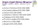 Angio-injeel (Ангио-Инъель) (Нарушения коронарного кровотока, ишемическая болезнь сердца). Acidum formicicum D10, D30, D200 Asclepias tuberosa D10, D30, D200 Cactus D10, D30, D200 Castoreum sibiricum D10, D30, D200 Crataegus D10, D30, D200 Plumbum jodatum D10, D30, D200 Glonoinum D30, D200 Spigelia 