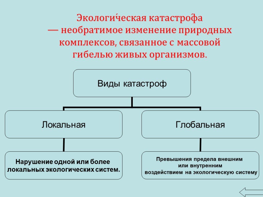 Экологические катастрофы и их причины презентация