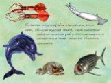 Питаются летучие рыбы планктоном, а они сами, обладая вкусным мясом, часто становятся добычей хищных рыб и птиц, кальмаров и дельфинов, а также являются объектом промысла.