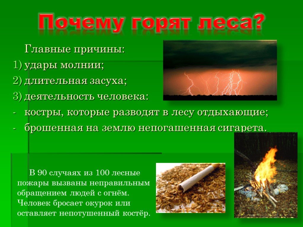 Почему постоянно высвечивается. Почему горят леса. Почему горит лес. Причины горящих лесов. Почему горят леса в России.