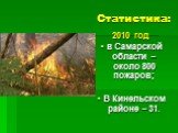Статистика: 2010 год в Самарской области – около 800 пожаров; В Кинельском районе – 31.