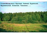 Сколковские леса: Круглый, Чайный, Буратский, Муравельный, Ближний, Тимонино…….