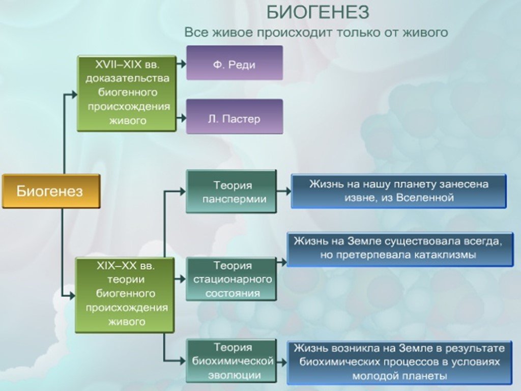 Биогенез и абиогенез презентация