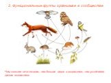 Чем сложнее сети питания, чем больше видов в экосистеме, тем устойчивее данная экосистема.