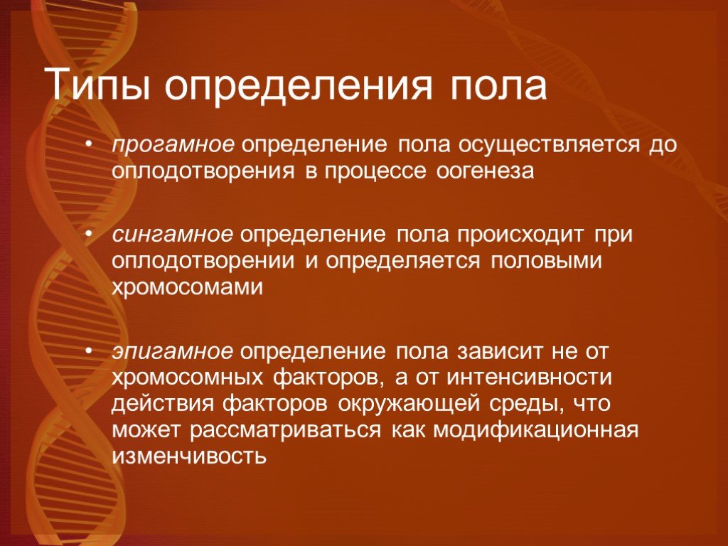 4 типа пола. Механизмы наследования пола прогамное Эпигамное сингамное. Типы определения пола Прогамный Сингамный Эпигамный примеры. Сингамное определение пола. Прогамный Тип определения пола.