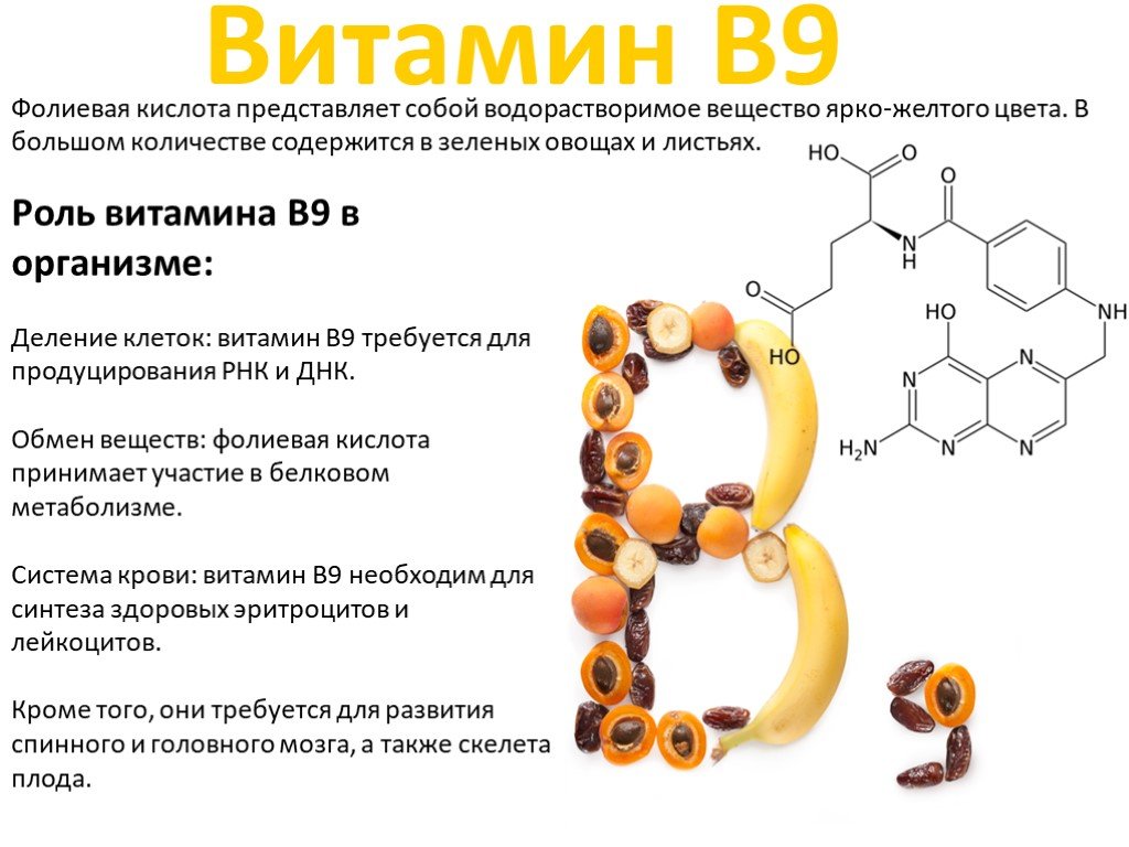 Проект по биологии бады