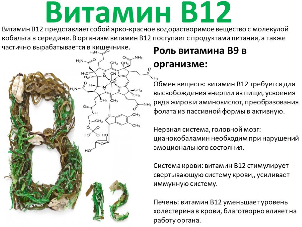 Витамин в12 презентация