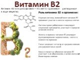 Витамин B2. Витамин В2 или рибофлавин – это желто-оранжевое растворимое в воде вещество. Роль витамина B2 в организме: Нервная система, головной мозг: витамин B2 принимает участие в синтезе нервных клеток. Система крови: рибофлавин стимулирует созревание эритроцитов, участвует в процессе усвоения же