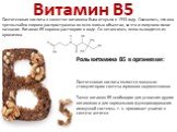 Витамин B5. Пантотеновая кислота в качестве витамина была открыта в 1933 году. Оказалось, что она чрезвычайно широко распространена во всех живых объектах, за что и получила такое название. Витамин В5 хорошо растворим в воде. Он нетоксичен, легко выводится из организма. Роль витамина B5 в организме: