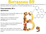 Витамин B9. Фолиевая кислота представляет собой водорастворимое вещество ярко-желтого цвета. В большом количестве содержится в зеленых овощах и листьях. Роль витамина B9 в организме: Деление клеток: витамин B9 требуется для продуцирования РНК и ДНК. Обмен веществ: фолиевая кислота принимает участие 