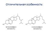 Отличительная особенность: