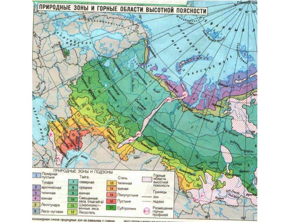 Какой природной зоны нет на европейской территории. Карта природных зон европейской части России. Карта природных зон европейского севера России. Северо Западная и Северная Россия природные зоны.