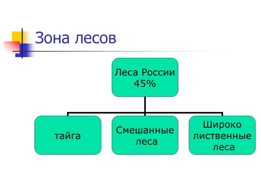 Урок лесная зона. Зона лесов. Разнообразие лесов России. Схема лесных зон. Лесные зоны России презентация.