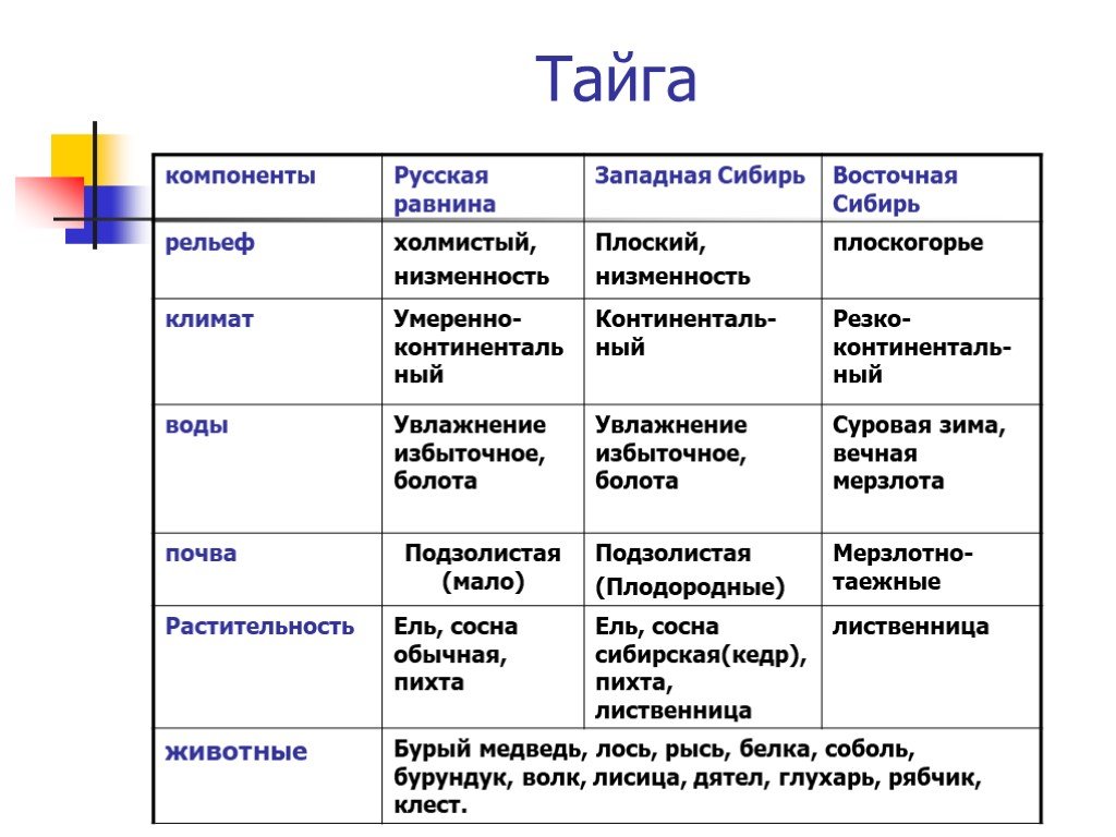 Таблица природные зоны россии тайга