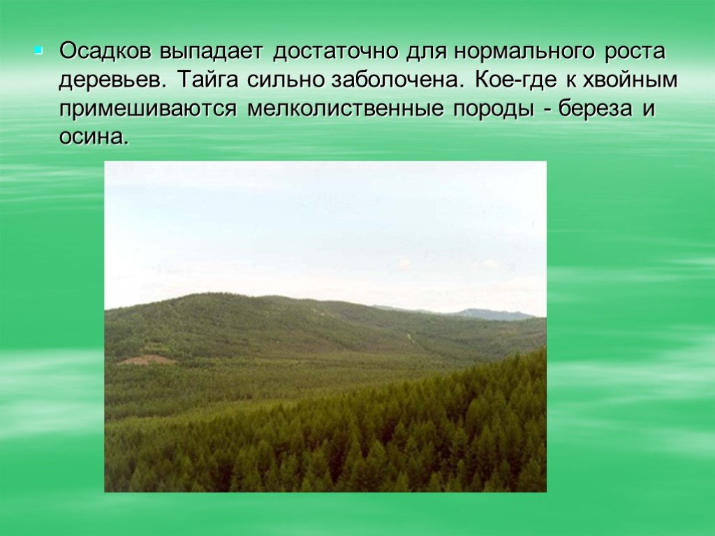 Природные условия в зоне лесов. Тайга природная зона. Зона тайги осадки. Доклад о зоне тайги. Осадки в тайге России.
