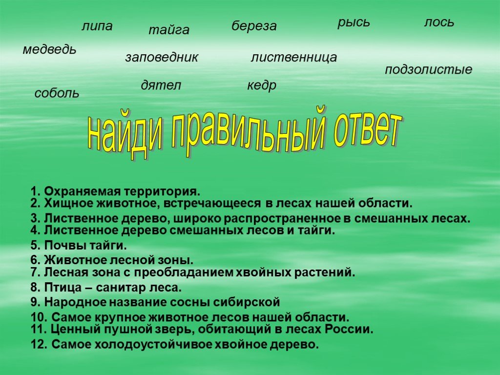 Лес 4 буквы. Заповедники в зоне лесов 4 класс. Охраняемы смешанных лесов охраняемые территории. Лиственное дерево, широко распространенное в смешанных лесах.. Почвы таежно-Лесной зоны охраняемые территории.