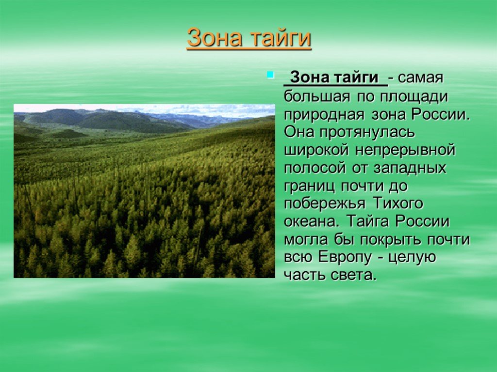 Презентация на тему природные зоны