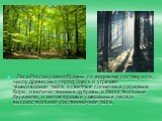 Леса России разнообразны по видовому составу и по числу древесных пород. Здесь и угрюмая тёмнохвойная тайга, и светлые солнечные сосновые боры, и величественные дубравы, и белоствольные березняки, и неповторимые смешанные леса, и высокоствольная лиственничная тайга.