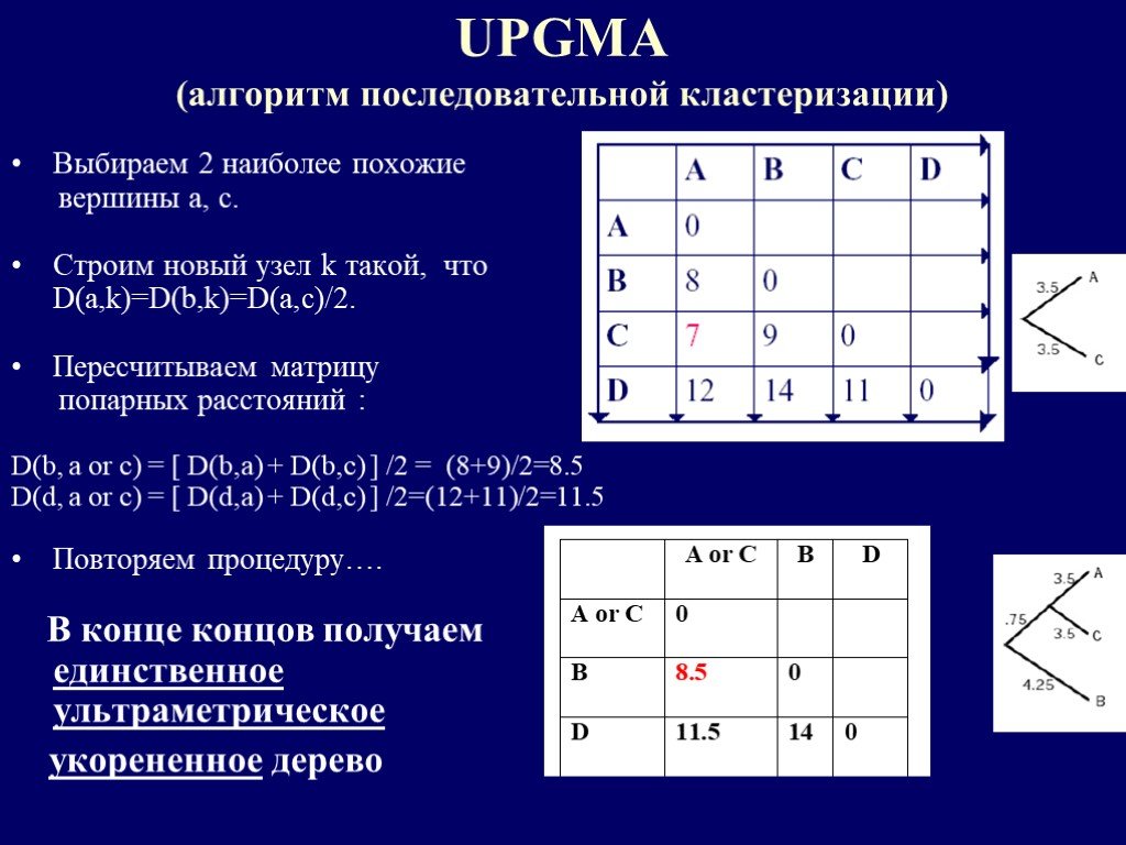 Последовательный алгоритм. UPGMA метод. UPGMA задача. UPGMA Euclidean method. Важным условием применения метода UPGMA является.