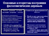 Основные алгоритмы построения филогенетических деревьев. Методы, основанные на оценке расстояний (матричные методы): Вычисляются эволюционные расстояния между всеми вершинами (OTUs) и строится дерево, в котором расстояния между вершинами наилучшим образом соответствуют матрице попарных расстояний. U