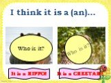 I think it is a (an)… Who is it? It is a HIPPO! It is a CHEETAH!