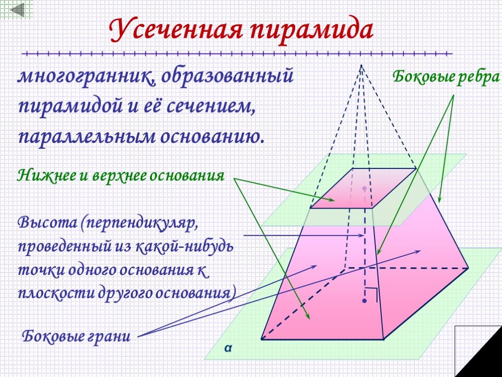 Сечение параллельное стороне пирамиды. Усеченная пирамида геометрия элементы. Усеченная четырехугольная пирамида. Правильная четырёхугольная усечённая пирамида. Правильная усеченная девятиугольная пирамида.