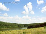 Украинская лесостепь