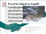 Волк. В нашей стране обитает один вид - серый волк. По внешнему виду он напоминает восточно-европейскую овчарку, но у него широколобая голова и укороченная морда. Уши меньше, расставлены шире, шея короче, толще, грудь более развитая, глубокая, низко опущенная (в отличие от собаки хвост волка всегда 