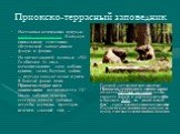 Приокско-террасный заповедник. Настоящая жемчужина природы южного Подмосковья, благодаря уникальному сочетанию оберегаемой заповедником флоры и фауны. На впечатляющей площади 4900 Га обитают 54 вида млекопитающих: лоси, кабаны, куницы, ласки, барсуки, зайцы, ..., изредка заходят волки и рыси. В бога