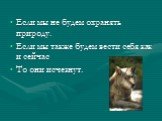 Если мы не будем охранять природу. Если мы также будем вести себя как и сейчас То они исчезнут.