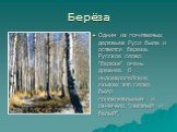 Берёза. Одним из почитаемых деревьев Руси была и остается береза. Русское слово "береза" очень древнее. В индоевропейских языках это слово было прилагательным и означало "светлый и белый".