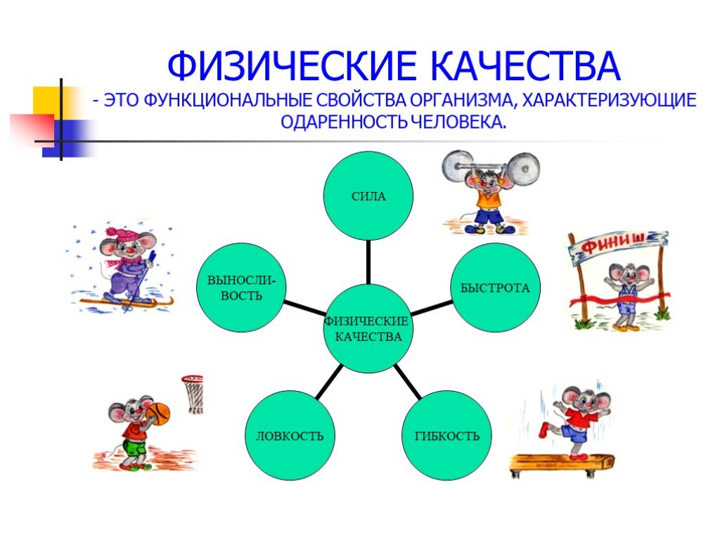 Проект физические качества человека