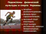 Подсистемы физической культуры и спорта Украины. лечебно-реабилитационная; физкультурно-оздоровительная; массовый спорт инвалидов; спорт высших достижений, включая международные соревнования.