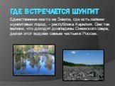 Где встречается шунгит. Единственное место на Земле, где есть залежи шунгитовых пород, - республика Карелия. Они так велики, что доходят до впадины Онежского озера, делая этот водоём самым чистым в России.
