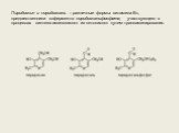 Пиридоксин и пиридоксаль – различные формы витамина B6, предшественники кофермента пиридоксальфосфата, участвующего в процессах синтеза аминокислот из кетокислот путем трансаминирования.